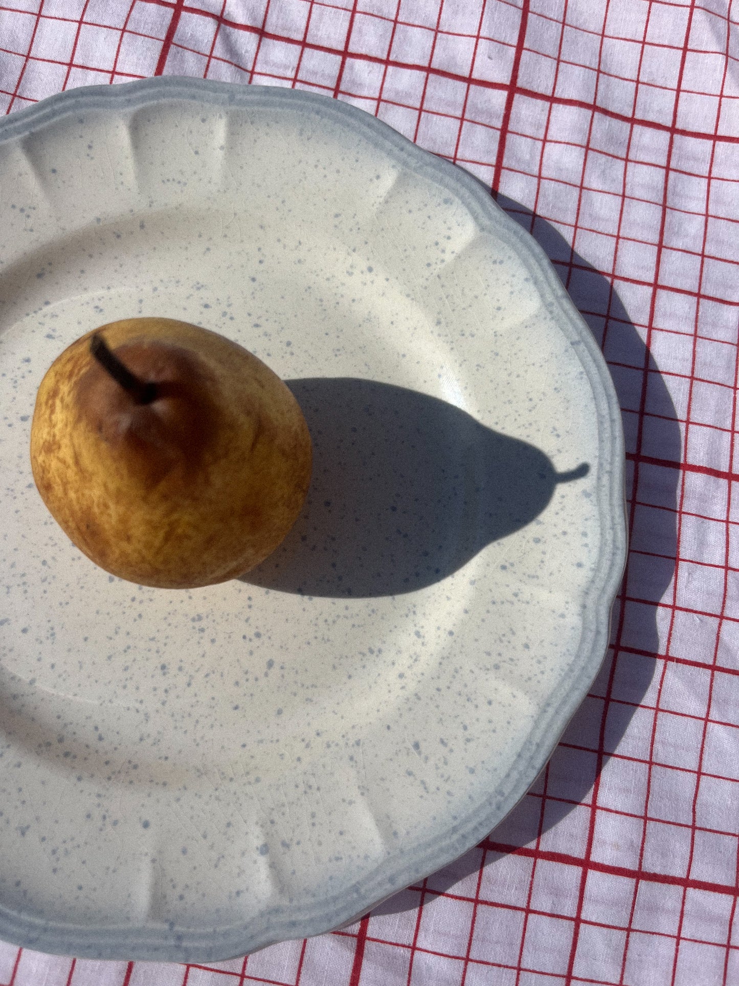 Assiette tachetée bleue