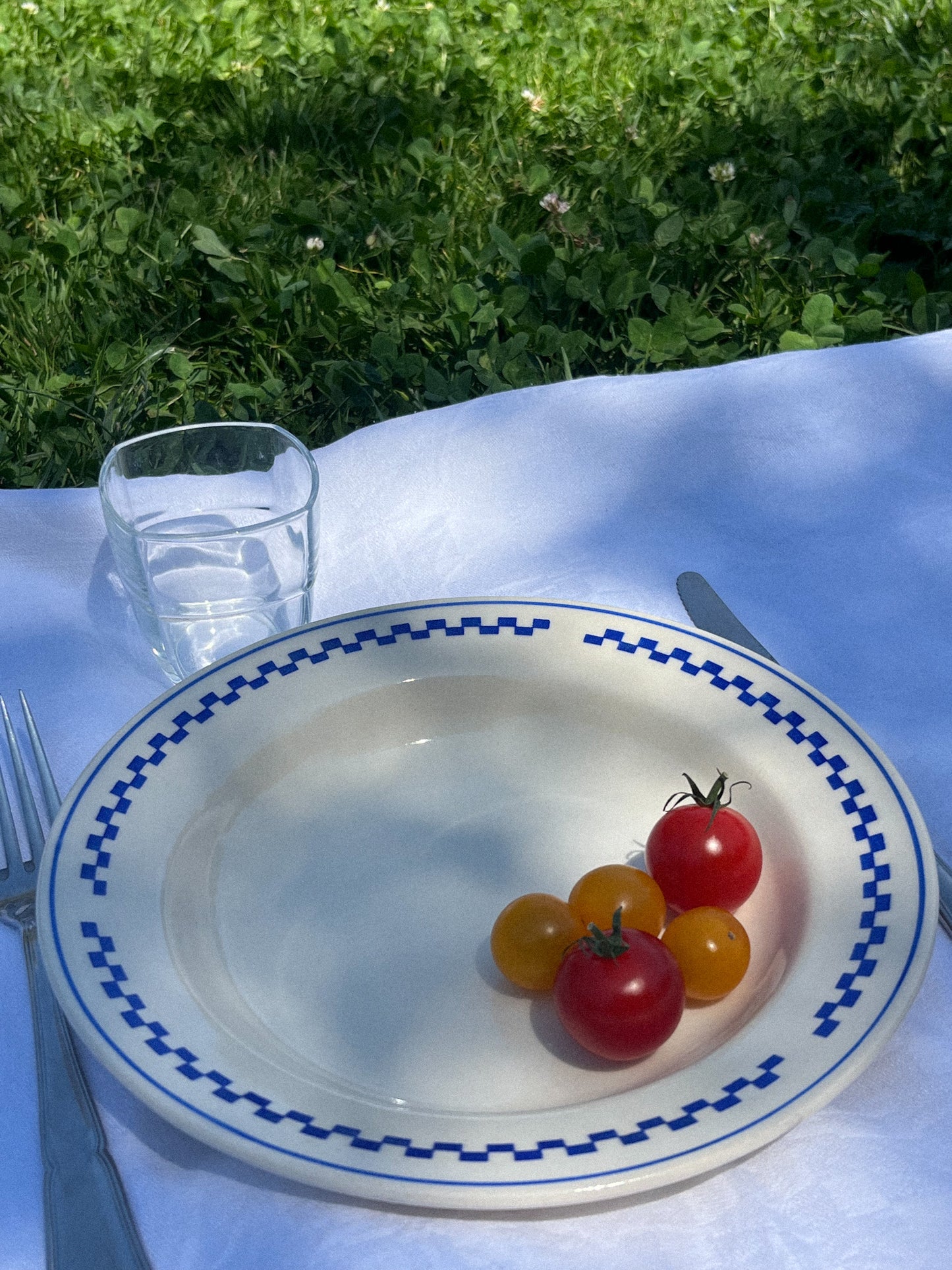 Assiette à carreaux